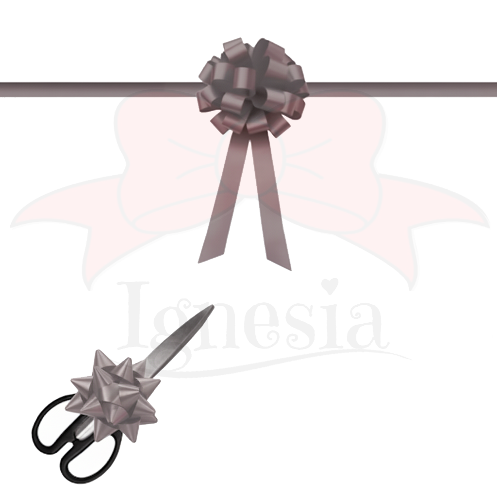 Pita Peresmian Silver Abu 15cm Set Gunting Hias Satin Real Ribbon By IgnesiaBisa Custom