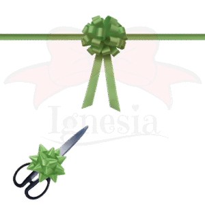Dekorasi Potong Pita Hijau Muda 15cm Set Gunting Hias PP Real Ribbon By IgnesiaBisa Custom