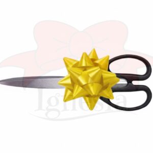 Pia Gunting Star untuk peresmian grand opening Kantor Toko Gudang Gedung Baru