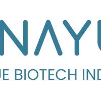 Logo NBI 2024 biru-21