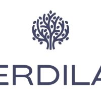 Verdilab_banner_brand